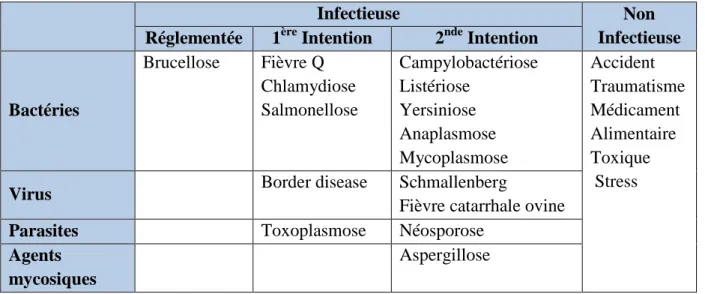 Tableau 3 : Diagnostic différentiel des avortements chez les petits ruminants 