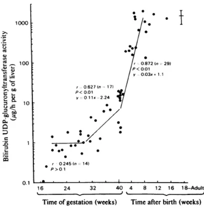 Figure 2 : Activité pré et post-natale de l’UDP-glucuronyl-transférase (Kawade, Onishi  1981) (avec l’autorisation de Portland Press)