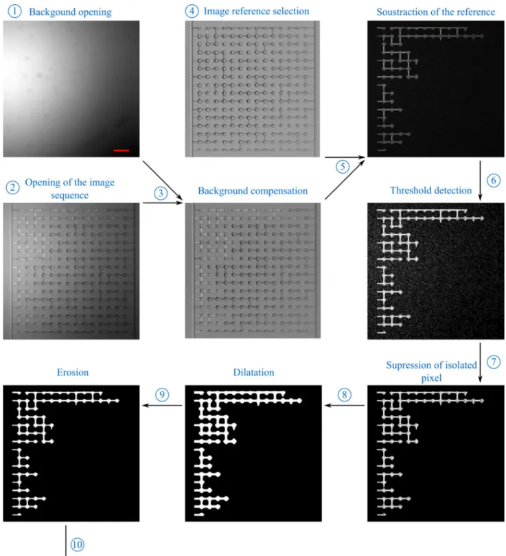 Fig. 8   Illustration of drainage pattern image processing extraction  algorithm.  Each image is represented with their full scale of gray  level to facilitate observation