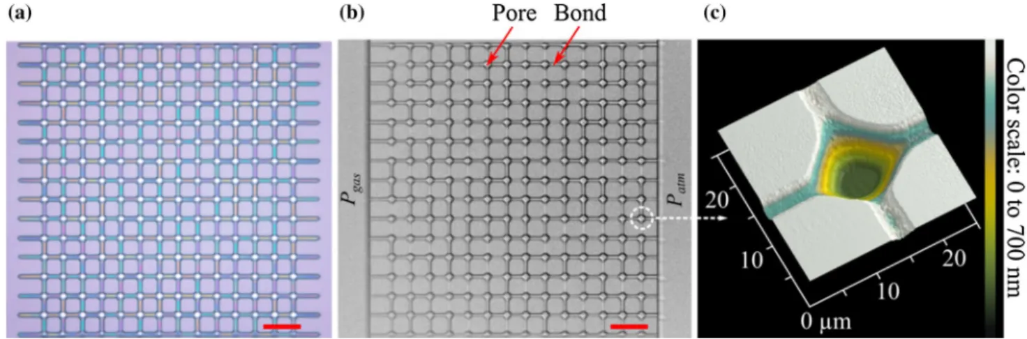 Fig. 4   Illustration of network with nanoslits of variable depth. a  Image acquired before etching, after laser lithography and  develop-ment