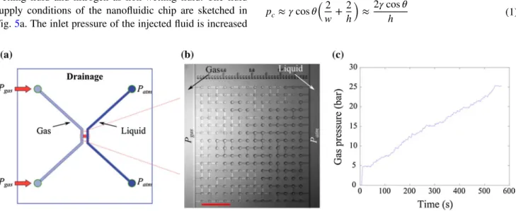 Fig. 5   Illustration of drainage experiments in the nanofluidic system:  a The experiments are carried out by applying a gas pressure in one  of the supply channels while maintaining the second one to  atmos-pheric pressure P atm ; b Visualization of a dr