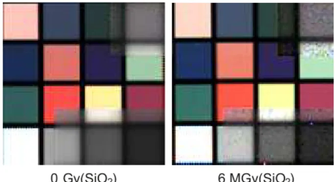 Figure 6. Raw image captured by the full 128x256 pixel array before and after 6 MGy(SiO 2 ), 600 Mrad(SiO 2 ), of TID with comparable illumination conditions