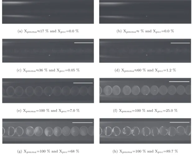 Fig. 16. Evolution of droplets/particles during the MMA/VCM copolymerization. Experiment E6