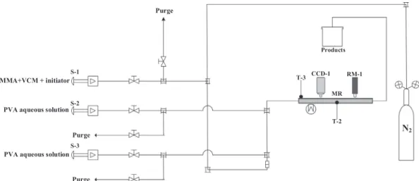 Fig. 1. Microreactor setup used for monitoring the copolymerization of MMA with VCM by Raman spectroscopy and video camera techniques.