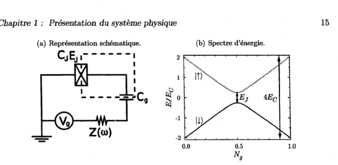 FIG URE  1.7 -  La boîte de Cooper.  (a)  Représentation, en éléments finis, de la boîte de Cooper  (encadrée en tiretés)