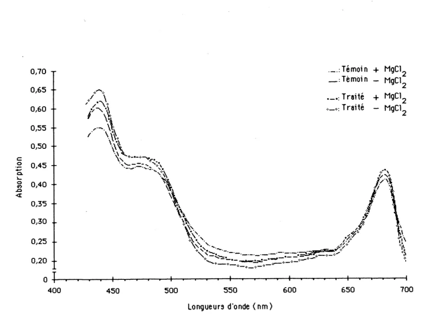 FIG. 1: Spectre d'absorption d'une suspension de cMoroplastes de i. minor temoinsettraitees