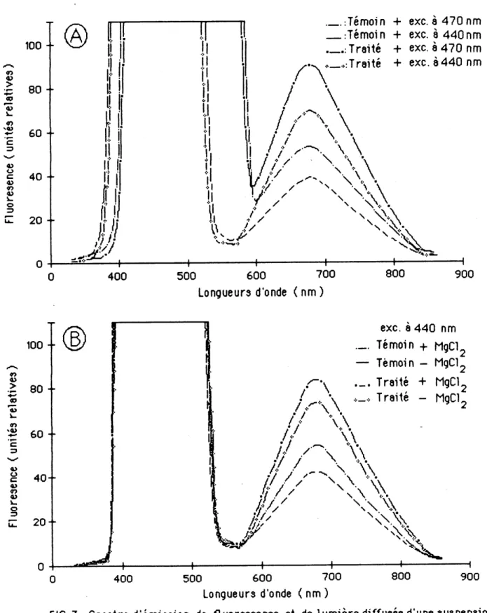 FIG. 3: Spectre d'emi33ion de fluorescence et de lumiere diffusee d'une suspension de chloroplastes de i