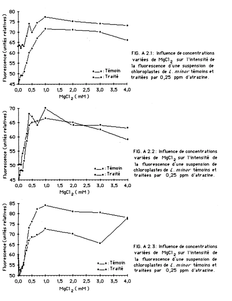 FIG. A 2.1: Influence de concentrations variees de MgC1g sur 1'intensite de 1a fluorescence d'uno suspension de chloroplasies de L