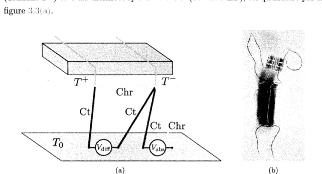 Fig. 3.3 — (a) Schema des thermocouples absolu et differentiel dans la configuration uti- uti-lisee