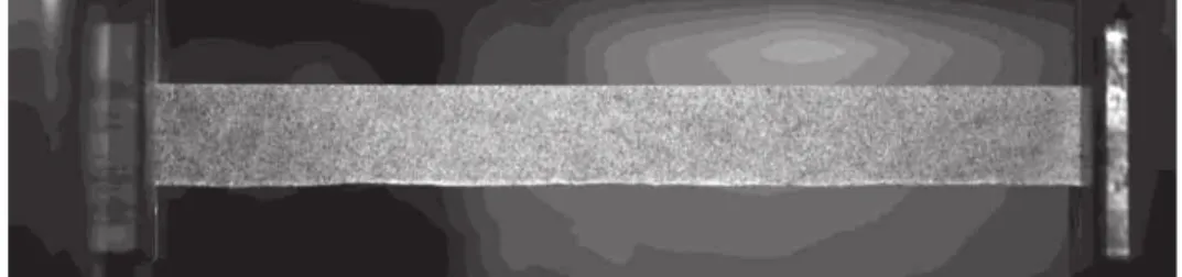 Figure 4. Speckle on tensile test specimen. 
