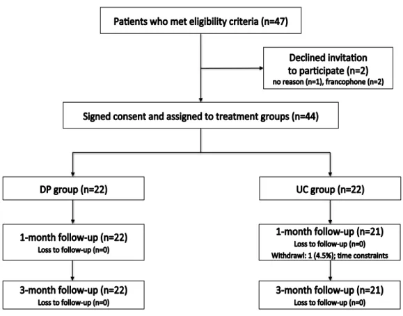 Figure 1. Flow diagram for patient recruitment, group allocation, and follow-up. DP group = Directional  Preference group; UC group = Usual Care group.