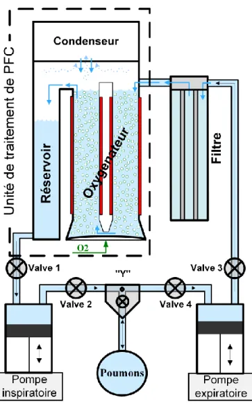 Figure 5. Schéma du ventilateur liquidien Inolivent-6 