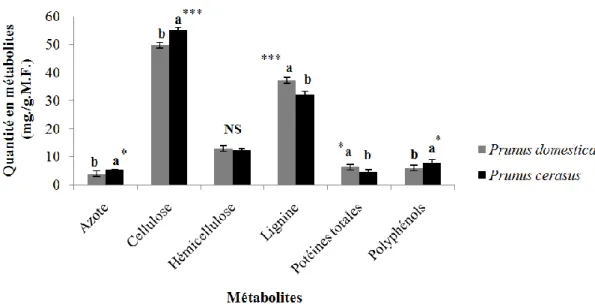 Figure 3. Variation des quantités de métabolites primaires et secondaires du bois des deux   Prunus dans la région de Médéa 