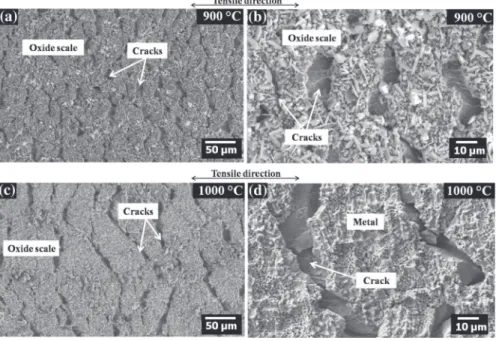 Fig. 1 Optical micrographs of the oxidation-affected zones, beneath the oxide scale, grown on AISI 304L oxidized for 50 h in synthetic air at a 900 °C and b 1000 °C