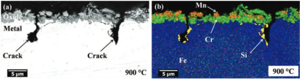 Fig. 3 a SEM cross-section in BSE mode and b EDS map, after tensile testing performed on AISI 304L oxidized for 50 h in synthetic air at 900 °C (63% strain)