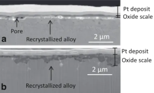 Fig. 6 SEM images, after FIB milling, of the cross-section of the oxide scale of 800HT samples exposed a 4000 h at AP and b 4966 h at HP