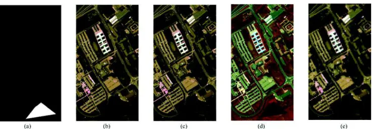 Fig. 1. One particular simulation configuration (Scenario 3). (a) The HR change mask d H R , (b) and (c) the HR-HS latent images X t i and X t j , and (d) and (e) the spectrally degraded version HR-MS observed image Y H Rti and the spatially degraded LR-HS