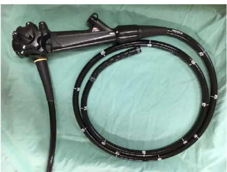 Figure 2 – Endoscope pour coloscopie 