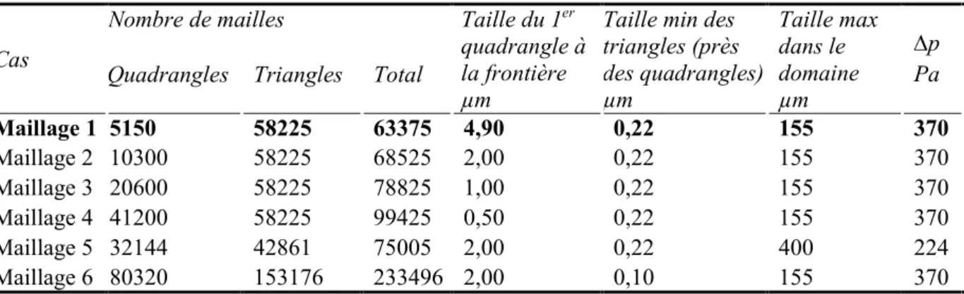 Tableau III.6 - Etude de la sensibilité au maillage des calculs monophasiques réalisés (pour le cas  de  référence)  avec  une  forme  de  bulle  réaliste  importée  dans  la  géométrie :  spécificités  des  maillages testés et critère de sensibilité (p)