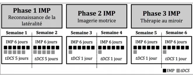 Figure 4. Procédure d’application de la tDCS combinée à l’IMP 