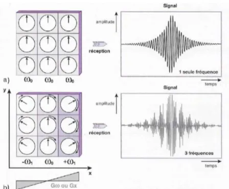 Figure 46 :  Conséquence de l’application d’un gradient de codage de fréquence pendant  la réception du signal (26) 