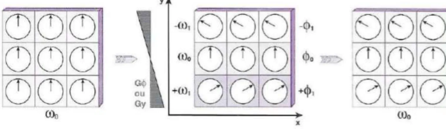 Figure 47 : Conséquence de l’application d’un gradient de codage de phase (26) 