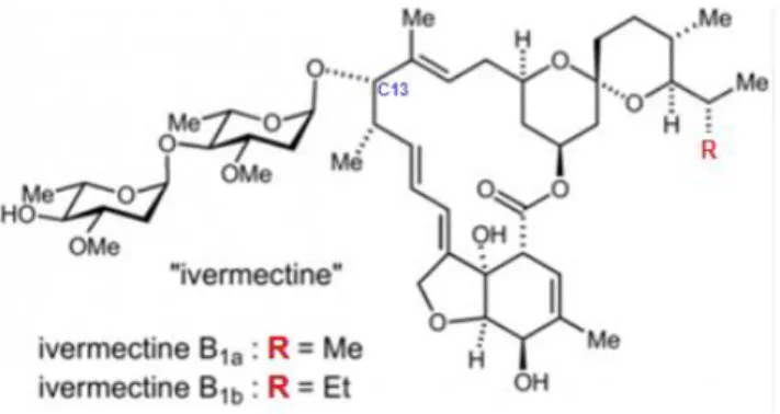 Figure 6 : Structure chimique de l’ivermectine 