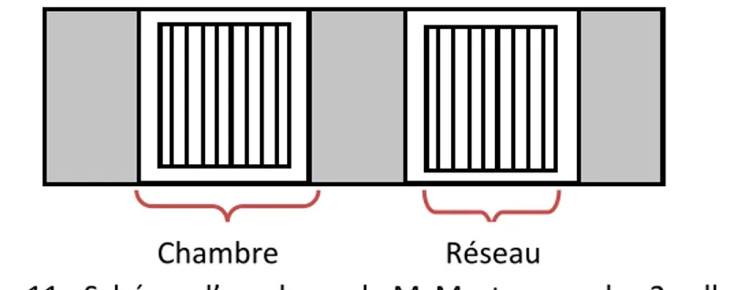 Figure 11 : Schéma d’une lame de McMaster avec les 2 cellules 