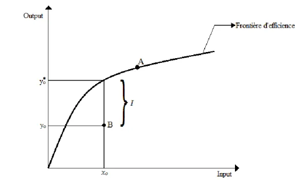 Figure 1 - Frontière d’efficience modèle à orientation output 