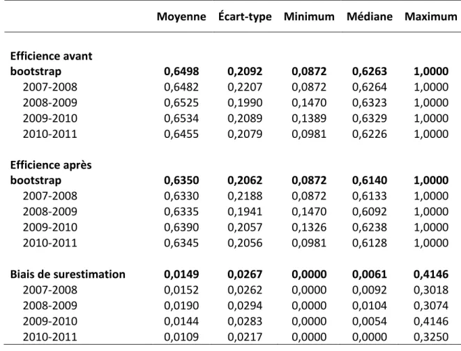 Tableau 3. Statistiques descriptives sur l’efficience 