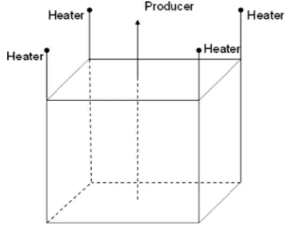 Fig. 2. Reservoir geometries and wells.
