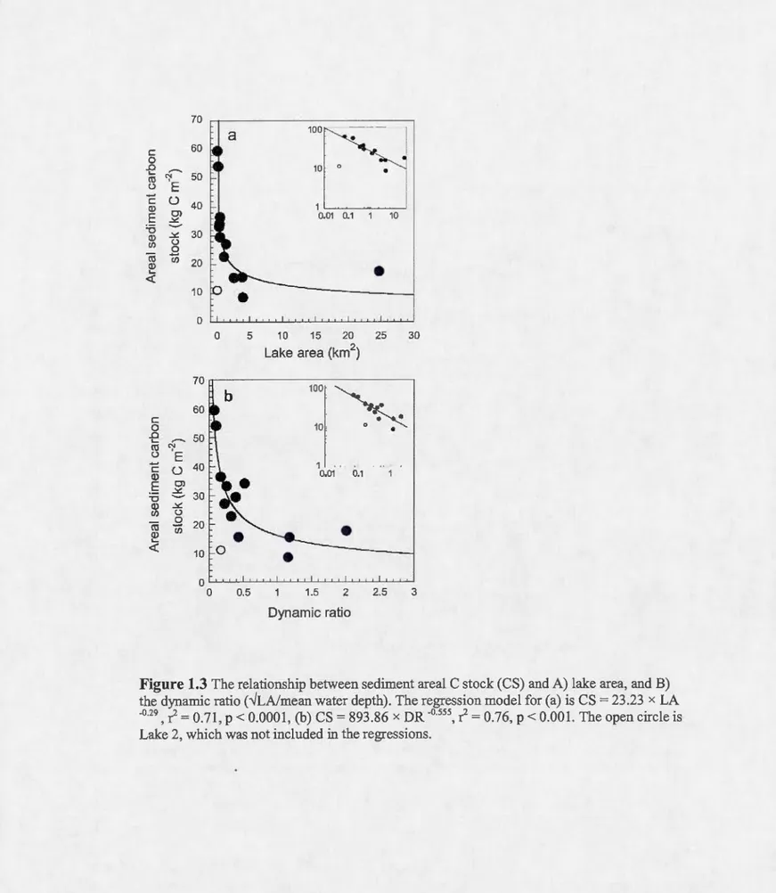 Figure 1.3  The relationship  between sediment areal C stock (CS)  and  A)  lake area,  and  B)  the  dynarnic ratio (.VLA/mean water depth)