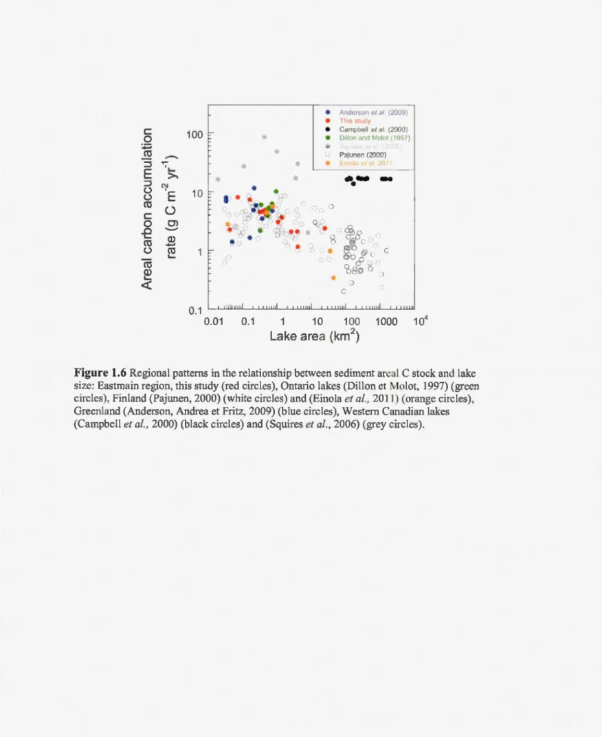 Figure 1.6  Regional patterns in the relationsh j p between sedi ment area l C stock and J ake  size:  Eas tmain region, th is  study (red circles), On tario lakes (Dillon et Molot,  1997)  (green  circ!  es),  Finland (Pajunen , 2000) (white circles) and 