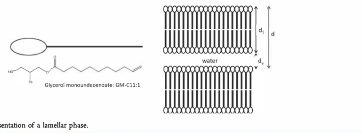 Figure 1.  Schematic  representation of a lamellar phase. 