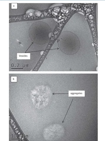 Figure  4. Cryo TEM of a  1000  mg/mL GM Cll:l solution. 