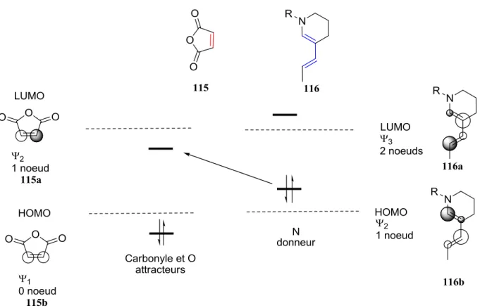 Figure 11. Orbitales moléculaires HOMO et LUMO des partenaires diène et diénophiles. 