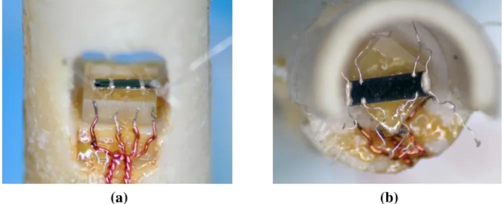 Figure 2.8 Toulouse sample holder with mounted samples a) Top view b) Side view