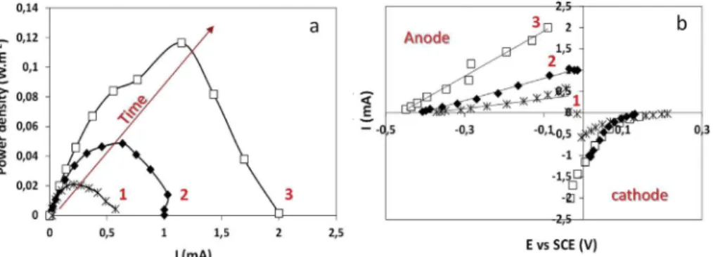 Fig. 3 e Single medium MFC performance at different stages of electrocatalytic biofilms development