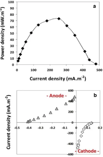 Fig. 7 e Single medium microbial fuel cell performance after pre-polarisation of electrodes