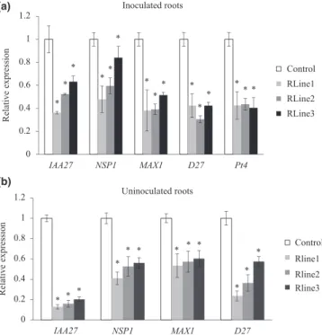 Fig. 2 Mycorrhizal phenotype of control and RNAi Sl-IAA27 lines 12 wk after inoculation with Rhizophagus irregularis