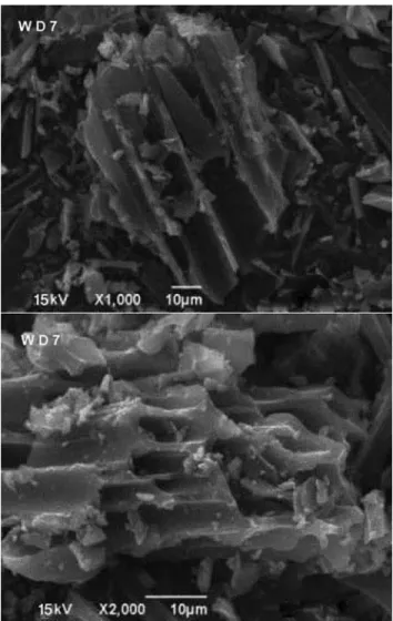 Figure 2. IR characterization of activated carbon.