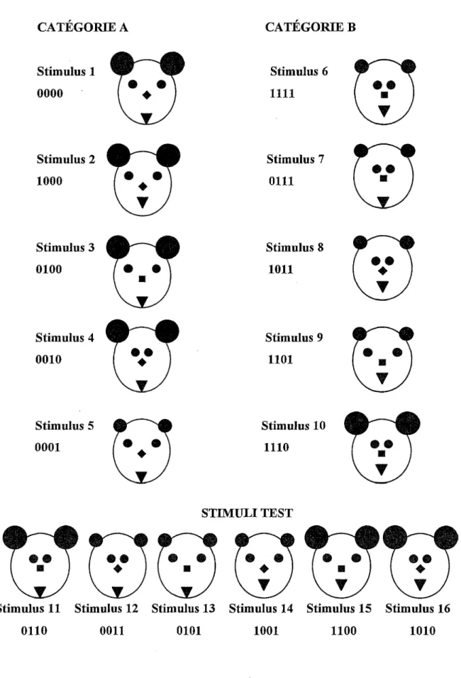 Figure 3 CATÉGORIE BCATÉGORIE A Stimulus 6  1111 Stimulus 7  OUI Stimulus 8  1011 Stimulus 9  1101Stimulus 1 0000Stimulus 2 1000Stimulus 3 0100Stimulus 4 0010 Stimulus 10  1110Stimulus 5 0001 STIMULI TEST