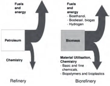 Figure 1. Analogy between petroleum refi ning and biorefi n- n-ing principles, from Kamm B