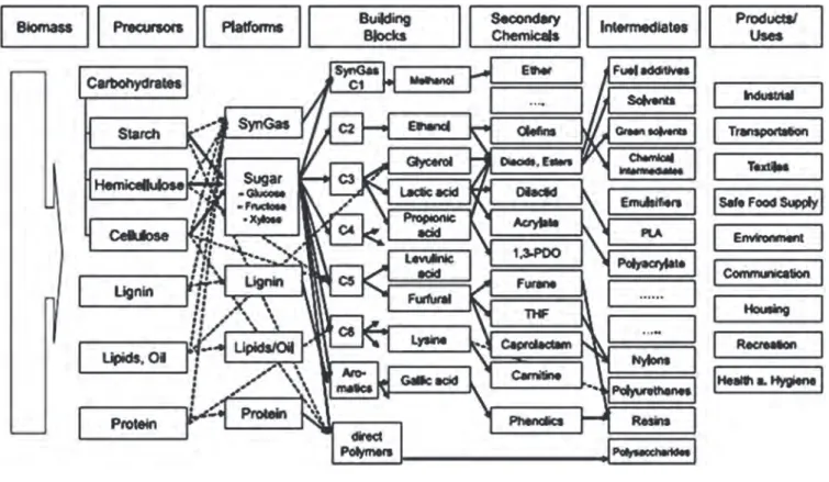 Figure 2. Simplifi ed model of a bio-based product fl ow-chart for biomass feedstock. 17,20