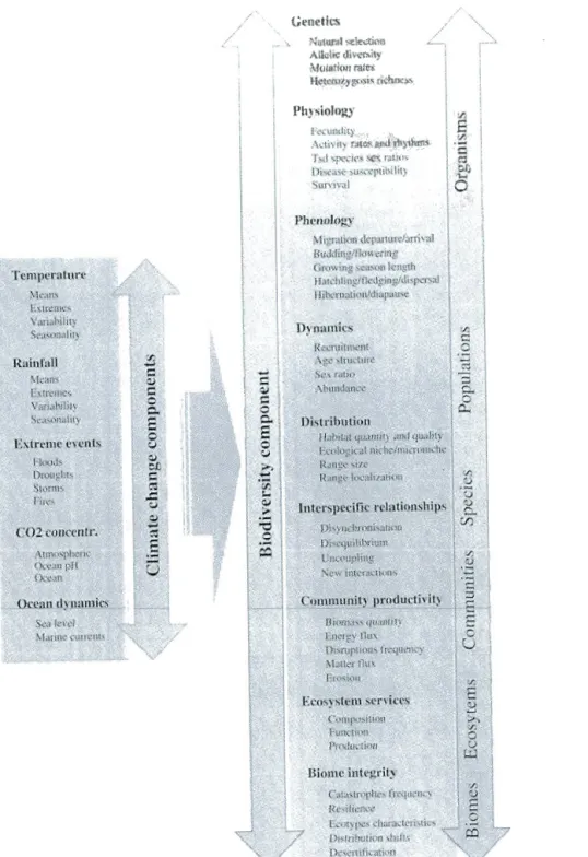 Figure 1.3 Sommaire des principales composantes des  changements climatiques et de  leurs  effets  potentiels  sur  différents niveaux  de  la  biodivers ité