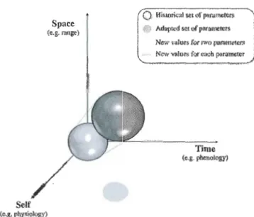 Figure  1.4  Représentation  graphique  sur  trois  axes  des  réponses  possibles  aux  changements  climatiques  : changements  de répartition  (space), phénologiques (time),  et  physiologiques  (self))  découlant  des  mécanismes  d' adaptation  et  d'