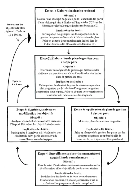 Figure  2.3  Schéma  du  modèle  de  cogestion  adaptative  proposé  pour  le s  parcs  du  Nunavik