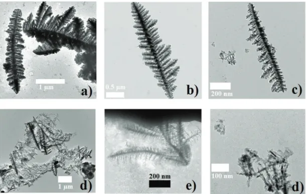 Fig. 8. TEM pictures of fragments of iron dendrites obtained after the fragmentation of the columnar deposit (j = 80 mA/cm 2 , 0.1 M FeCl 2 ) by acoustic vibrations of the PZT.