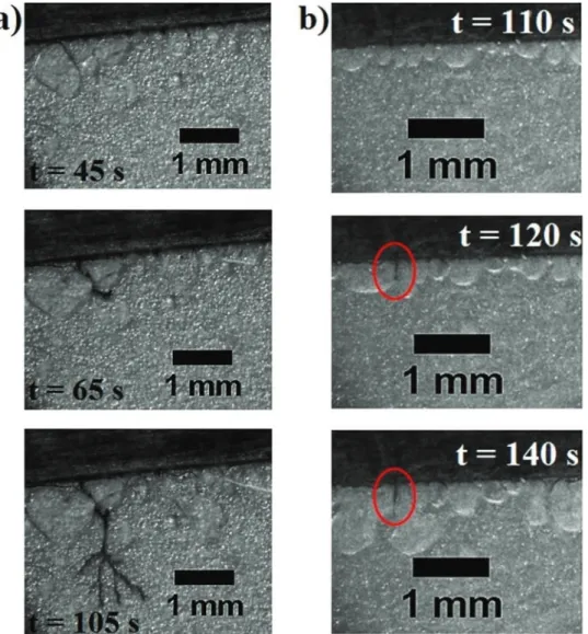 Fig. 4. Optical images taken during galvanostatic electrolyses in the Hele-Shaw cell for a) 0.02 M FeCl 2 , j = 12 mA/cm 2 and b) 0.1 M FeCl 2 , j = 16 mA/cm 2 