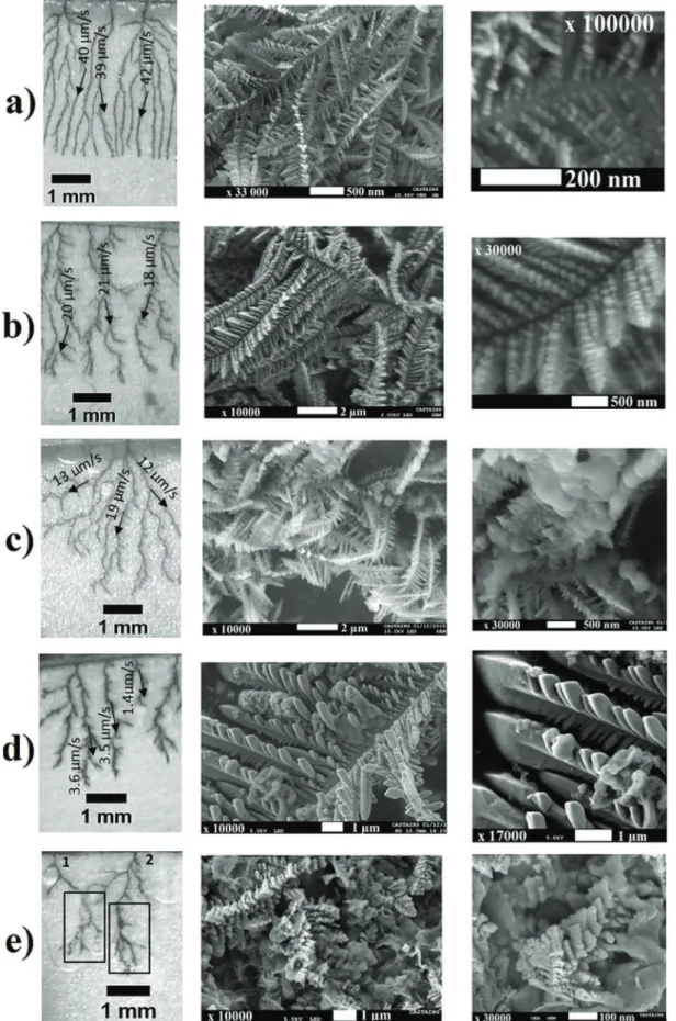 Fig. 7. SEM pictures of iron electrodeposits obtained in the Hele-Shaw cell at various current densities and using various precursor concentrations